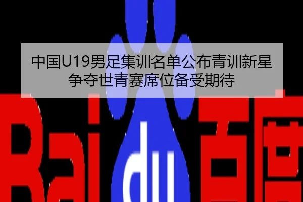 中国U19男足集训名单公布青训新星争夺世青赛席位备受期待